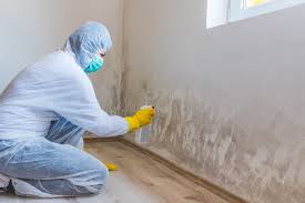 Best Post-Construction Mold Inspection  in Shamrock, TX