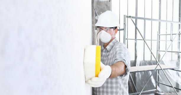 Best Emergency Mold Remediation  in Shamrock, TX