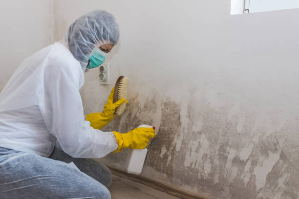 Asbestos and Lead Testing During Mold Inspection in Shamrock, TX