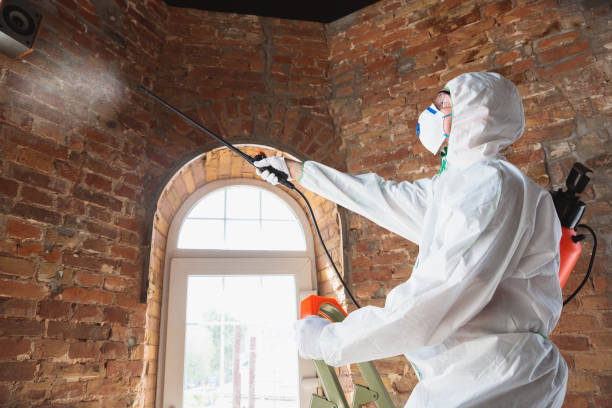 Mold Remediation for Vacation Homes in Shamrock, TX